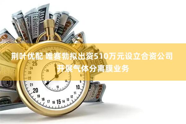 荆叶优配 唯赛勃拟出资510万元设立合资公司 开展气体分离膜业务