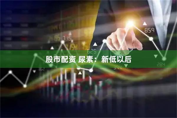股市配资 尿素：新低以后