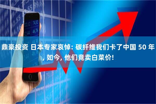 鼎豪投资 日本专家哀悼: 碳纤维我们卡了中国 50 年, 如今, 他们竟卖白菜价!